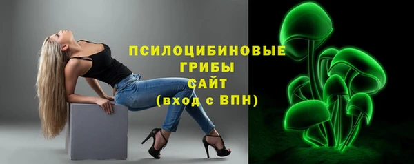 ГАЛЛЮЦИНОГЕННЫЕ ГРИБЫ Верея