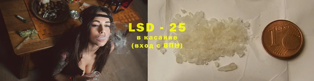 ГАЛЛЮЦИНОГЕННЫЕ ГРИБЫ Верея