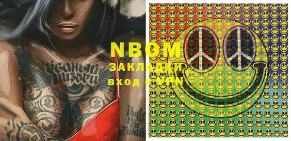 ГАЛЛЮЦИНОГЕННЫЕ ГРИБЫ Верея